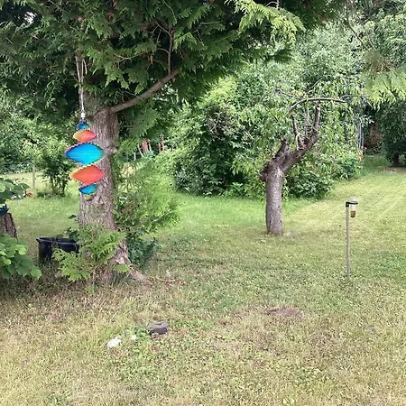 6 Person In